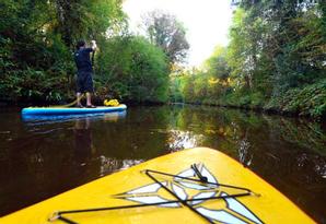 Drumhierny Woodland Hideaway  | Leitrim Village, Co. Leitrim | Photo Gallery - 79