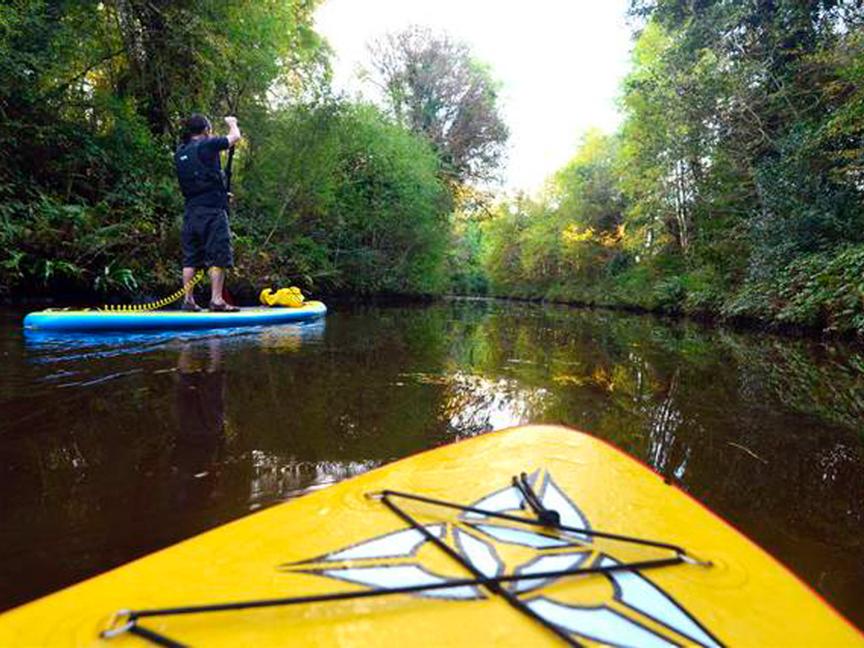 Drumhierny Woodland Hideaway | Leitrim Village, Co. Leitrim | 1