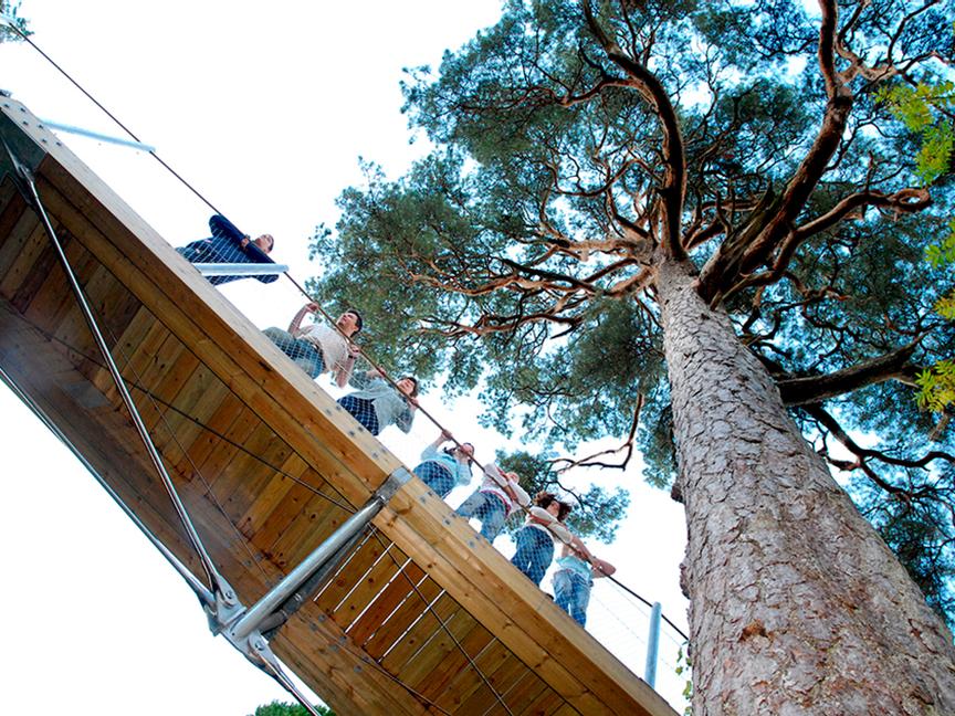 Drumhierny Woodland Hideaway | Leitrim Village, Co. Leitrim | 3