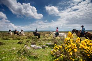 Drumhierny Woodland Hideaway  | Leitrim Village, Co. Leitrim | Horse Riding