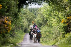 Drumhierny Woodland Hideaway  | Leitrim Village, Co. Leitrim | Shannon Blueway