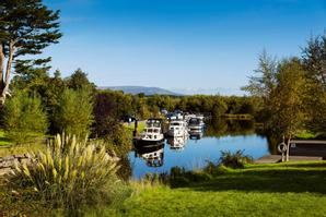 Drumhierny Woodland Hideaway  | Leitrim Village, Co. Leitrim | Photo Gallery - 72