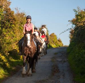 Drumhierny Woodland Hideaway  | Leitrim Village, Co. Leitrim | Photo Gallery - 67