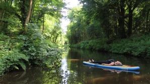 Drumhierny Woodland Hideaway  | Leitrim Village, Co. Leitrim | Photo Gallery - 65