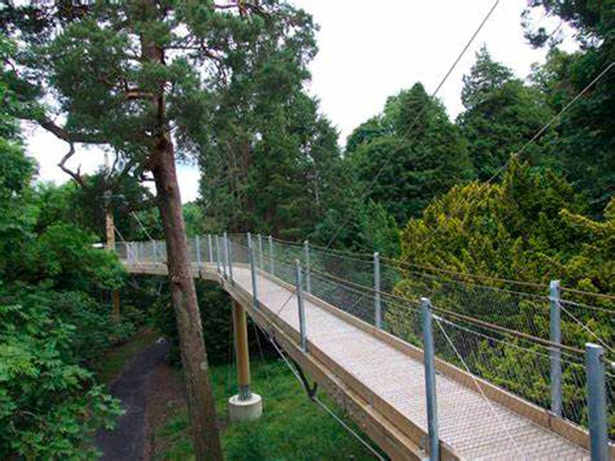 Drumhierny Woodland Hideaway | Leitrim Village, Co. Leitrim | 2