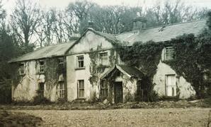 Drumhierny Woodland Hideaway  | Leitrim Village, Co. Leitrim | Photo Gallery - 55