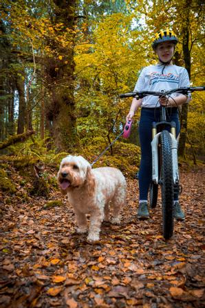 Drumhierny Woodland Hideaway  | Leitrim Village, Co. Leitrim | Photo Gallery - 17