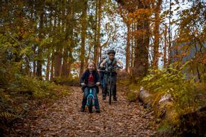Drumhierny Woodland Hideaway  | Leitrim Village, Co. Leitrim | Photo Gallery - 63