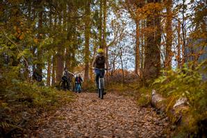Drumhierny Woodland Hideaway  | Leitrim Village, Co. Leitrim | Photo Gallery - 19