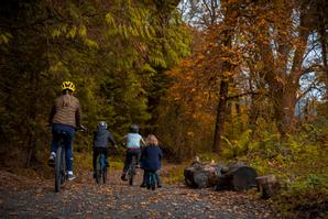 Drumhierny Woodland Hideaway  | Leitrim Village, Co. Leitrim | Photo Gallery - 15