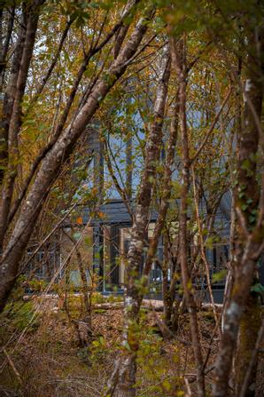 Drumhierny Woodland Hideaway  | Leitrim Village, Co. Leitrim | Photo Gallery - 2